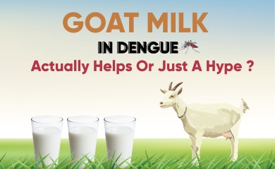 Goat milk in dengue- myth or reality?